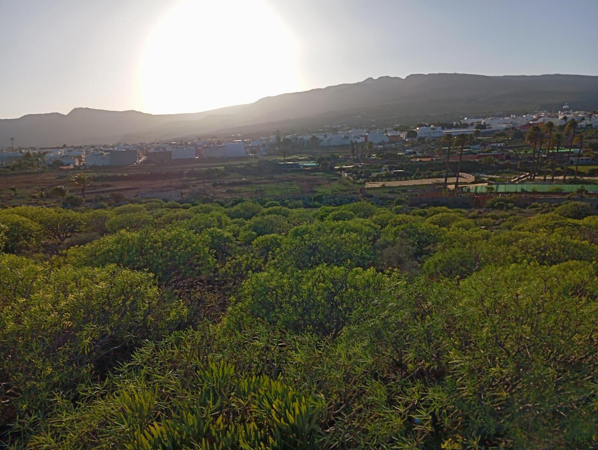 Casa Grande Finca El Calabres Agüimes Kültér fotó
